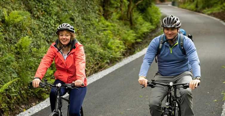 Limerick Bicycle Hire on the Greenway GetYourGuide