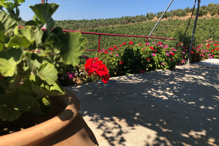 Découvrez les secrets du vin et des olives à RéthymnonRethymno : Visite d'un vignoble et d'un moulin à huile avec dégustation et déjeuner