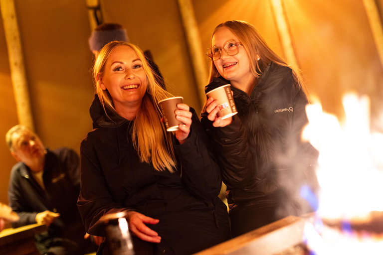 From Narvik: The Northern Lights Arctic Train Guided Tour