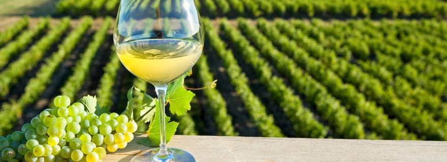 De Tours : Excursion d'une journée dans les vignobles de la vallée de la Loire avec dégustations
