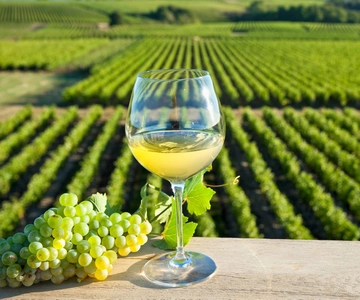 From Tours: Loire Valley Wineries Day Trip with Tastings