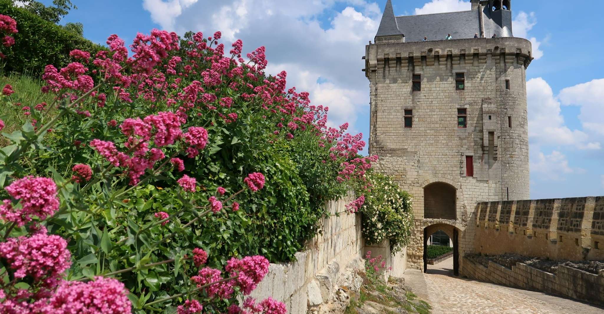 From Tours, Loire Valley Wineries Day Trip with Tastings - Housity