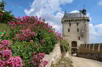 From Tours, Loire Valley Wineries Day Trip with Tastings - Housity