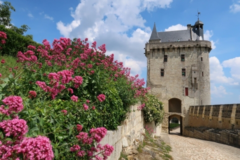 Von Tours: Tagesausflug zu den Weingütern im Loiretal mit Verkostungen