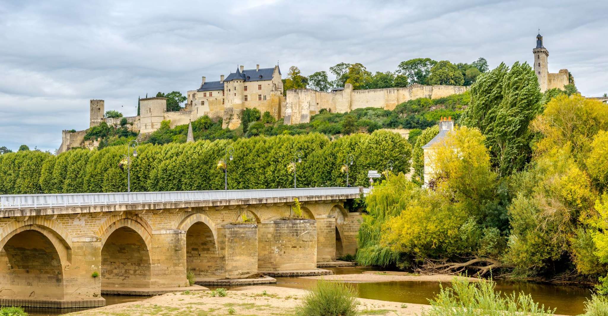 From Tours, Loire Valley Wineries Day Trip with Tastings - Housity