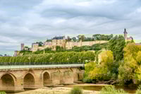 From Tours, Loire Valley Wineries Day Trip with Tastings - Housity