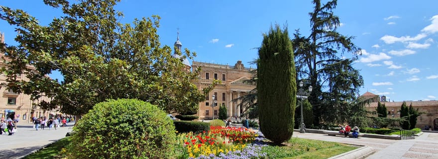 Salamanque : Visite privée à pied de l'histoire littéraire