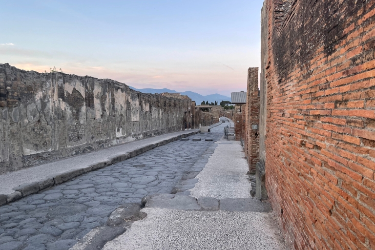 Pompeji: Das Forum & Via dell' AbbondanzaGemeinsame Tour auf Englisch
