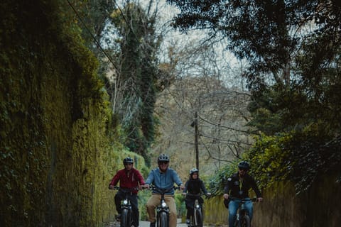 Sintra: Biester Palace e Park E-Bike Tour con giro turistico