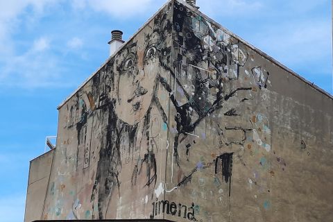 Salamanca: Private Guided Street Art Walking Tour