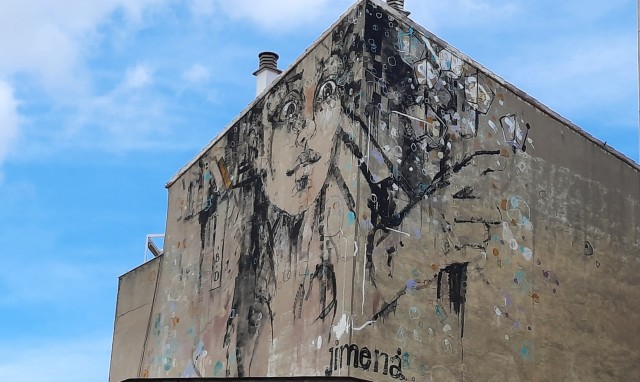 Visit Salamanca Private Guided Street Art Walking Tour in Salamanca
