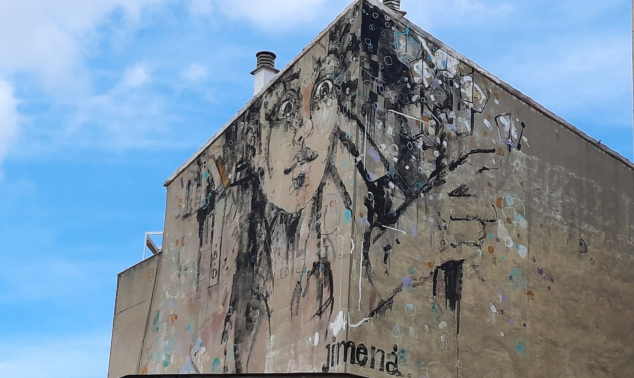 Salamanca: Private geführte Street Art Walking Tour