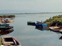 Da Deltebre, Ebro Delta National Park Multi-Stop Day Trip - Hizvo