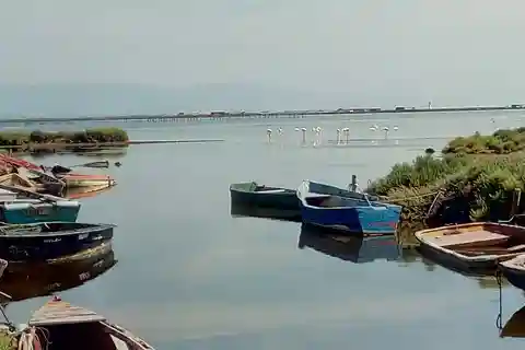 Desde Deltebre: Excursión de un día con paradas múltiples al Parque Nacional del Delta del Ebro