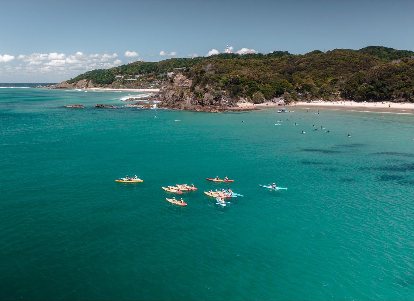 Byron Bay: Havkajaktur med delfiner og skildpadder