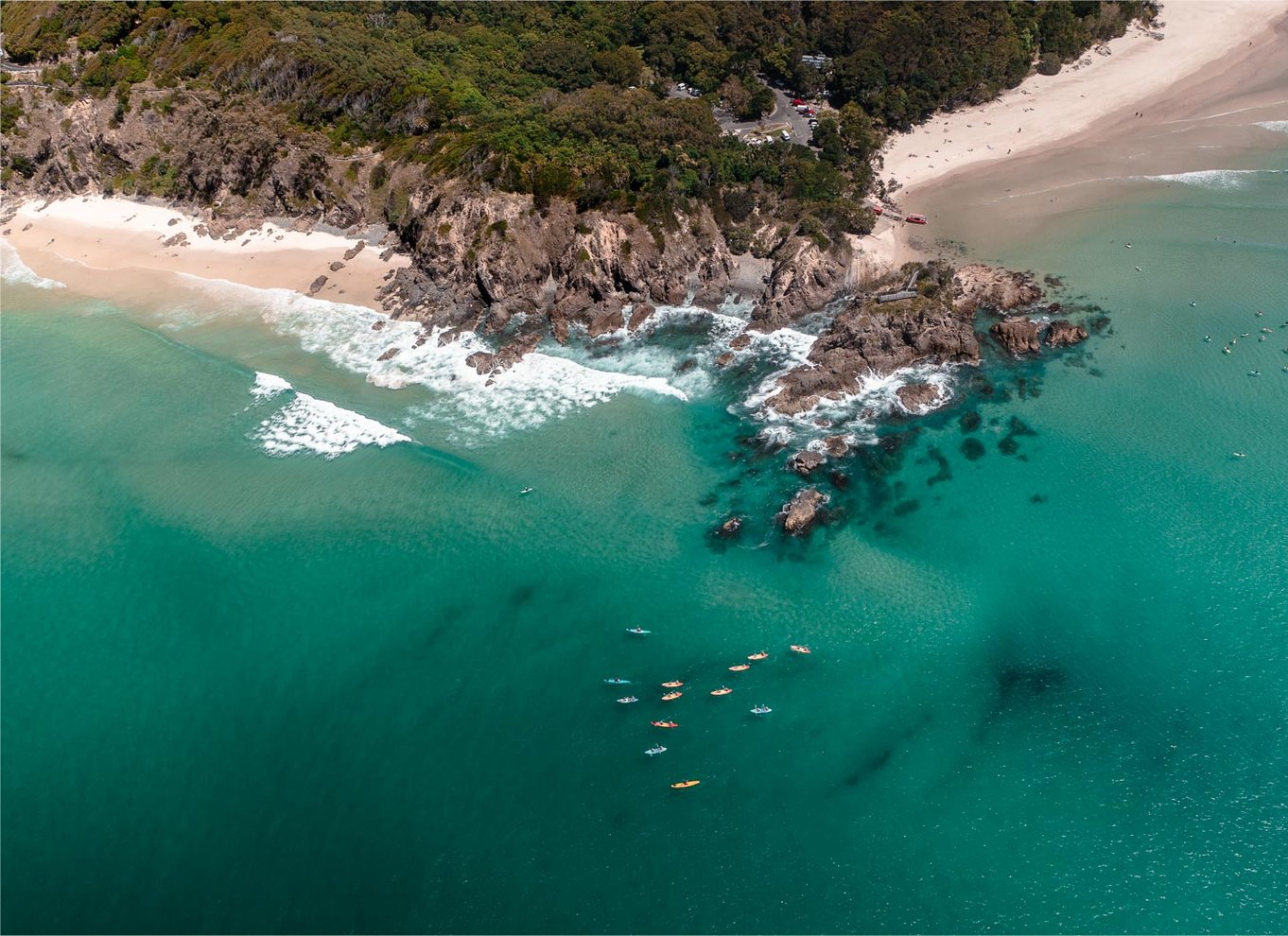 Byron Bay: Havkajaktur med delfiner og skildpadder