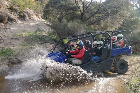 Kangaroo Island: Guided Buggy Tour