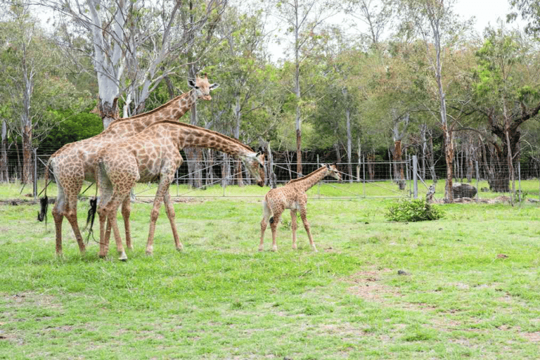 Mauricio: Entrada a los Parques Naturales de Casela con traslado