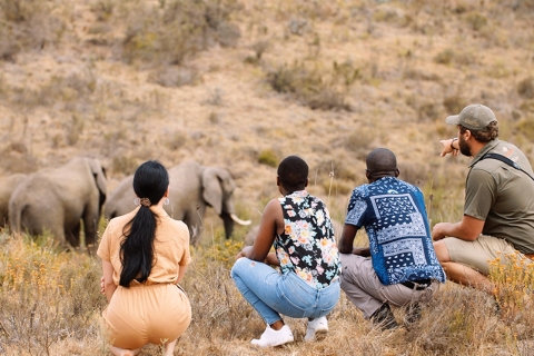 Vanuit Kaapstad: 2-daagse wildlife-safari in Zuid-AfrikaDeluxepakket