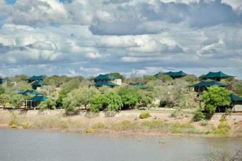 Depuis Le Cap : 2 jours de safari dans la nature sud-africaineForfait dortoir commun
