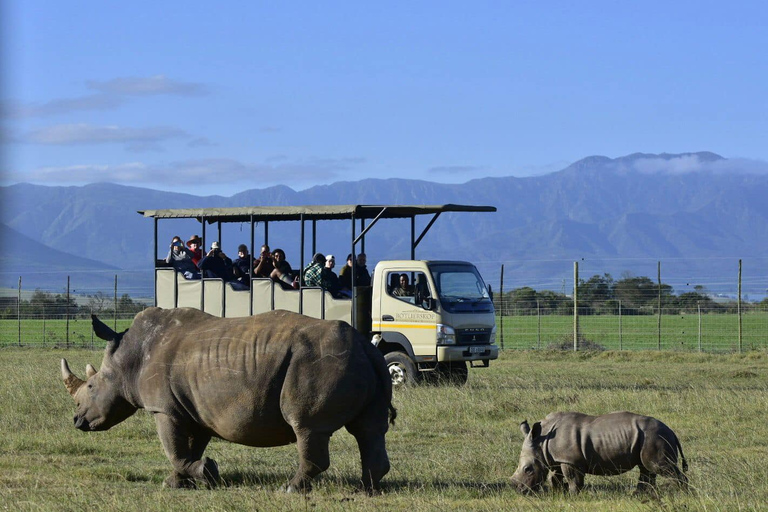 Depuis Le Cap/Stellenbosch : Garden Route et safari, 3 joursForfait chambre dortoir en auberge