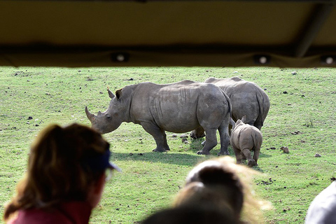 From Cape Town: 3-Day Garden Route Highlights and 4x4 SafariShared Group Tour with Shared Dorm Backpacker Hostel Stay