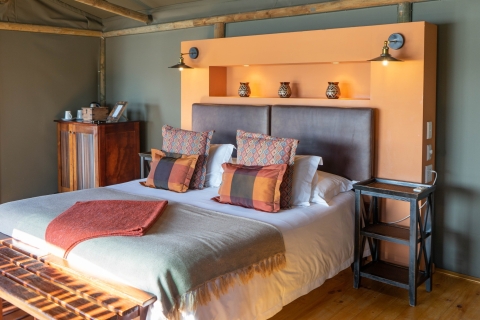 From Cape Town/Stellenbosch: 3 Day Garden Route and Safari Backpacker Dorm Room Package