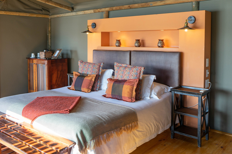 Depuis Le Cap/Stellenbosch : Garden Route et safari, 3 joursForfait chambre dortoir en auberge