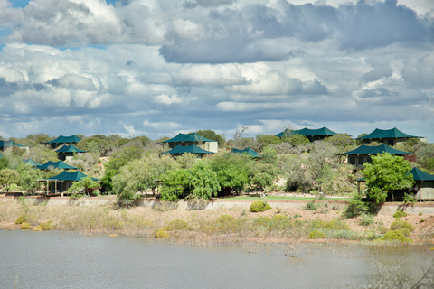 Från Kapstaden: 3-dagars Garden Route Highlights och 4x4 SafariDelad gruppresa med delad sovsal Backpacker Hostel Stay