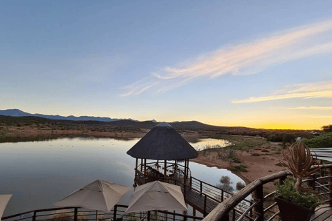 Da Città del Capo: 3 giorni di Garden Route e safari in 4x4Tour di gruppo condiviso con soggiorno in ostello con dormitorio condiviso