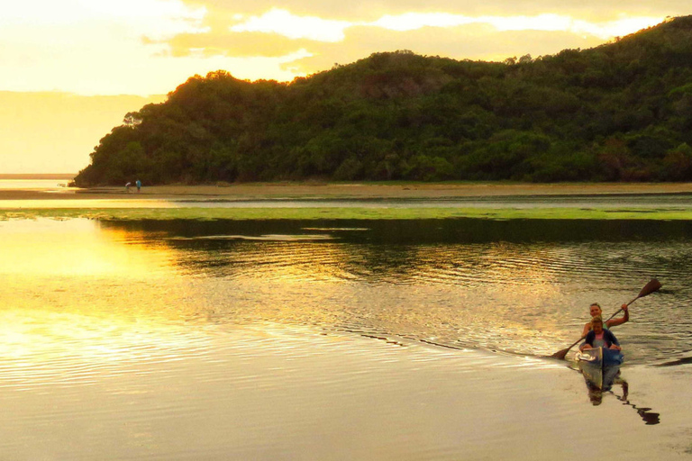 Från Kapstaden: 3-dagars Garden Route Highlights och 4x4 SafariDelad gruppresa med delad sovsal Backpacker Hostel Stay