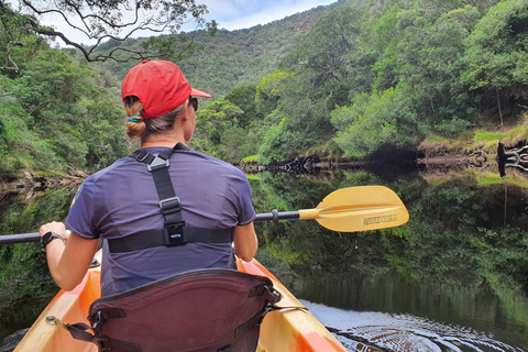 Från Kapstaden: 3-dagars Garden Route Highlights och 4x4 SafariDelad gruppresa med delad sovsal Backpacker Hostel Stay