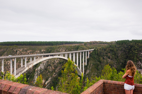 From Cape Town: 3-Day Garden Route Highlights and 4x4 SafariShared Group Tour with Shared Dorm Backpacker Hostel Stay