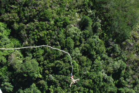 From Cape Town: 3-Day Garden Route Highlights and 4x4 SafariShared Group Tour with Shared Dorm Backpacker Hostel Stay