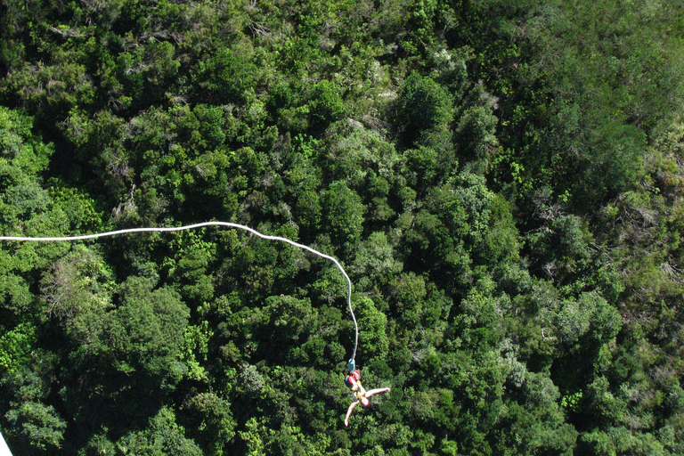 Da Città del Capo: 3 giorni di Garden Route e safari in 4x4Tour di gruppo condiviso con soggiorno in ostello con dormitorio condiviso