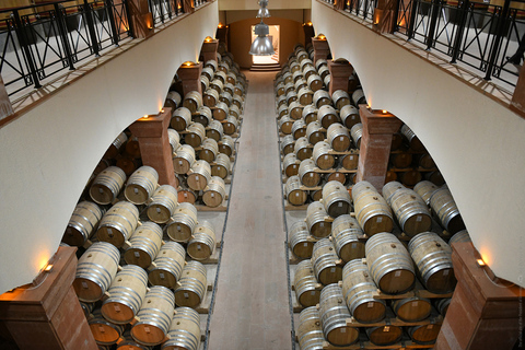 Au départ d&#039;Erevan : Visite privée des vignobles, visite des vignobles, musée du vinVisite privée avec guide