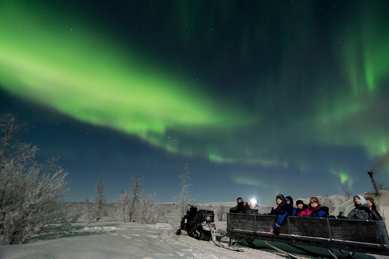 Abisko: Wycieczka fotograficzna zorzy polarnej w Parku Narodowym