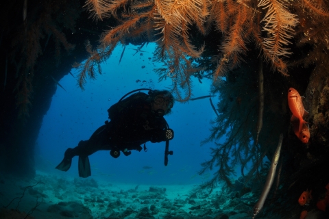 Santa Maria: Kaapverdië Advanced Open Water Diver-cursus