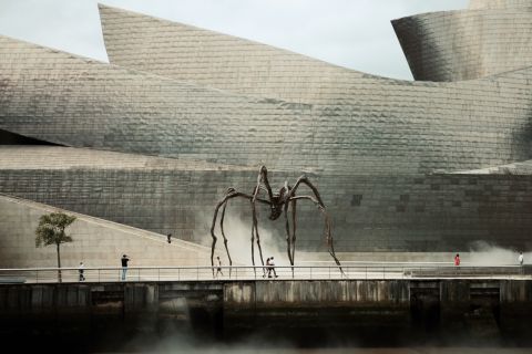 Desde San Sebastián: Excursión de un día al Guggenheim y a la Costa Vasca