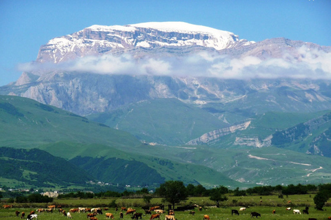 z Baku: Transfer do Sahdag Resorts, Guba, GusarOpcja standardowa