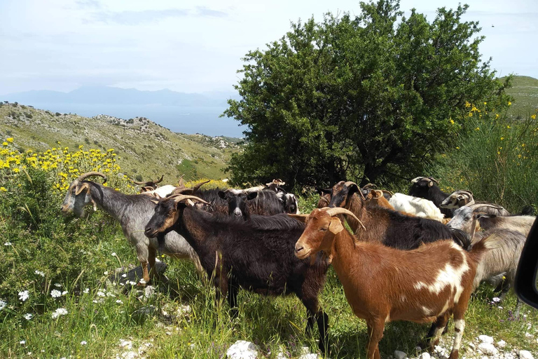 Explora más en Rodas Ruta NorteRodas: Ruta Norte con almuerzo