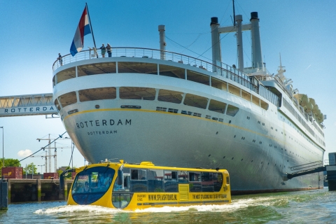 Rotterdam: 1-godzinne zwiedzanie i rejs po rzece