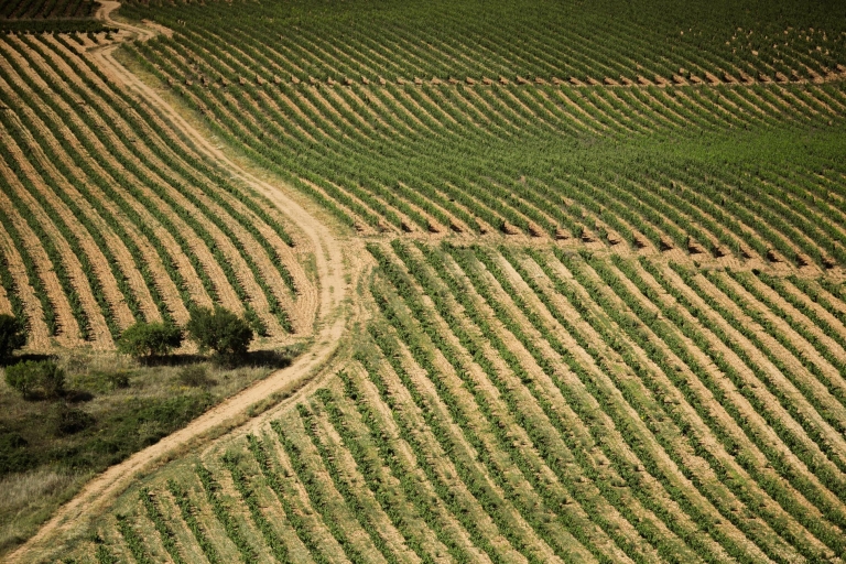 Z San Sebastian: wycieczka po winnicach Rioja, degustacje i lunchOpcja standardowa