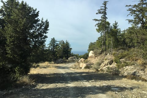 Rhodos Süd Safari: Berge und lokale Aromen