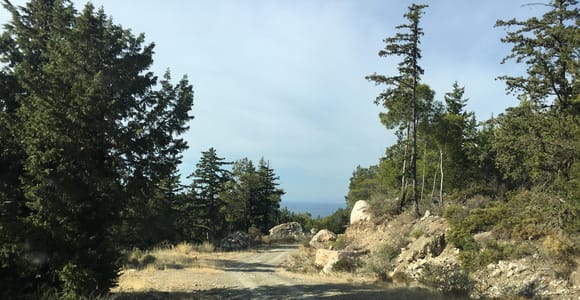 Rhodes South Safari: Mountains & Local Flavors