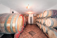 Monferrato, Barbera Wine Tasting Experience - Housity