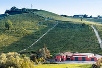 Monferrato, Barbera Wine Tasting Experience - Housity