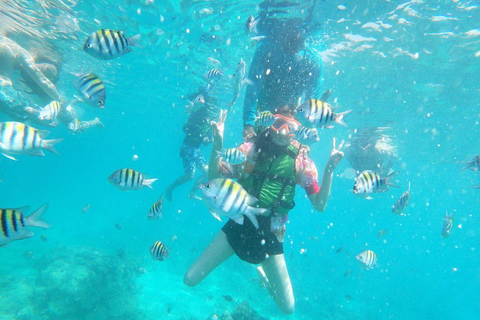 Cartagena: Desfruta de uma excursão de autocarro/barco às 5 Ilhas do Rosário + snorkeling