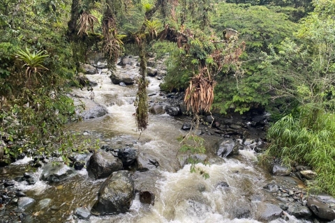 Cali : Visite des chutes d'eau du parc national avec déjeuner et transfert