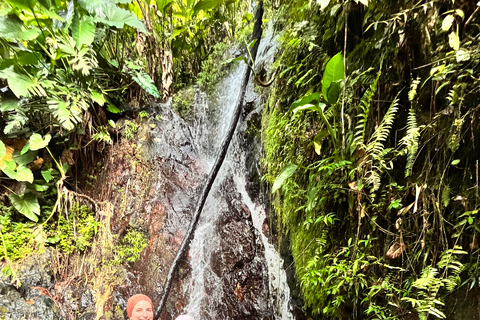 From San Juan: El Yunque Waterslide with Transportation